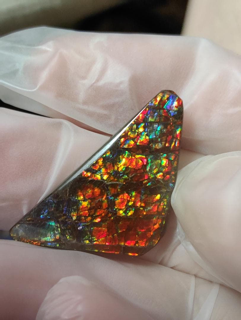 アンモライト　ルース　24-1414 23500