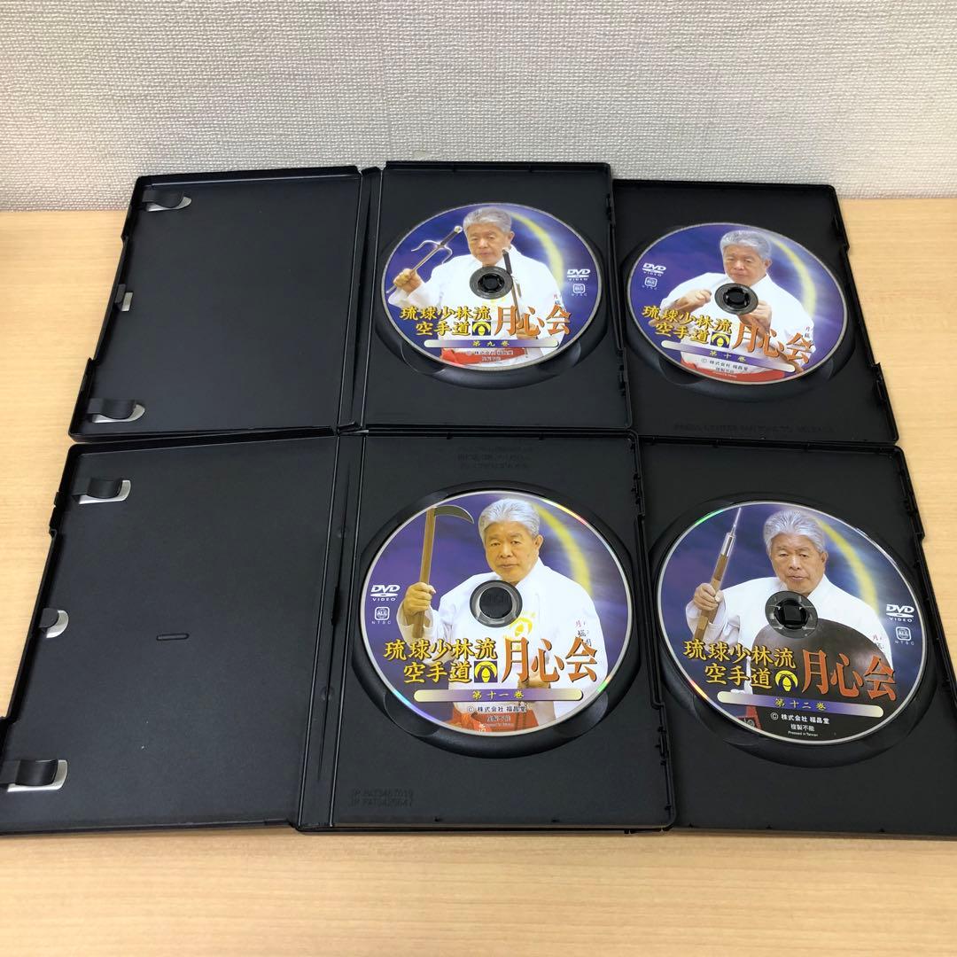 専用 M1109A 琉球少林流空手道 月心会 第一巻〜十三巻 DVD 13本