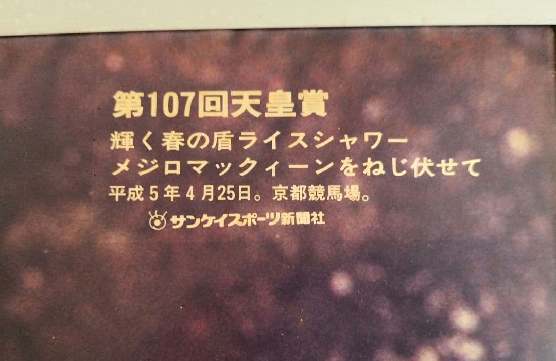 競馬パネル　天皇賞 春　ライスシャワー メジロマックイーン メジロパーマー