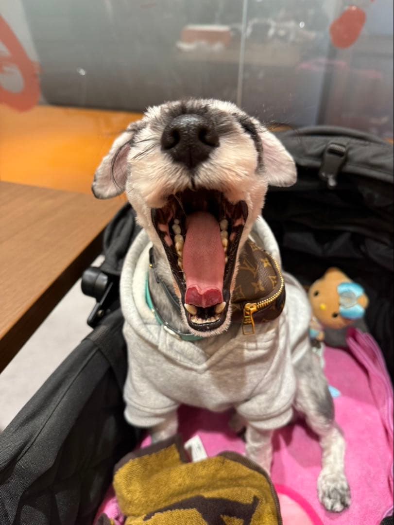 お願い致します。