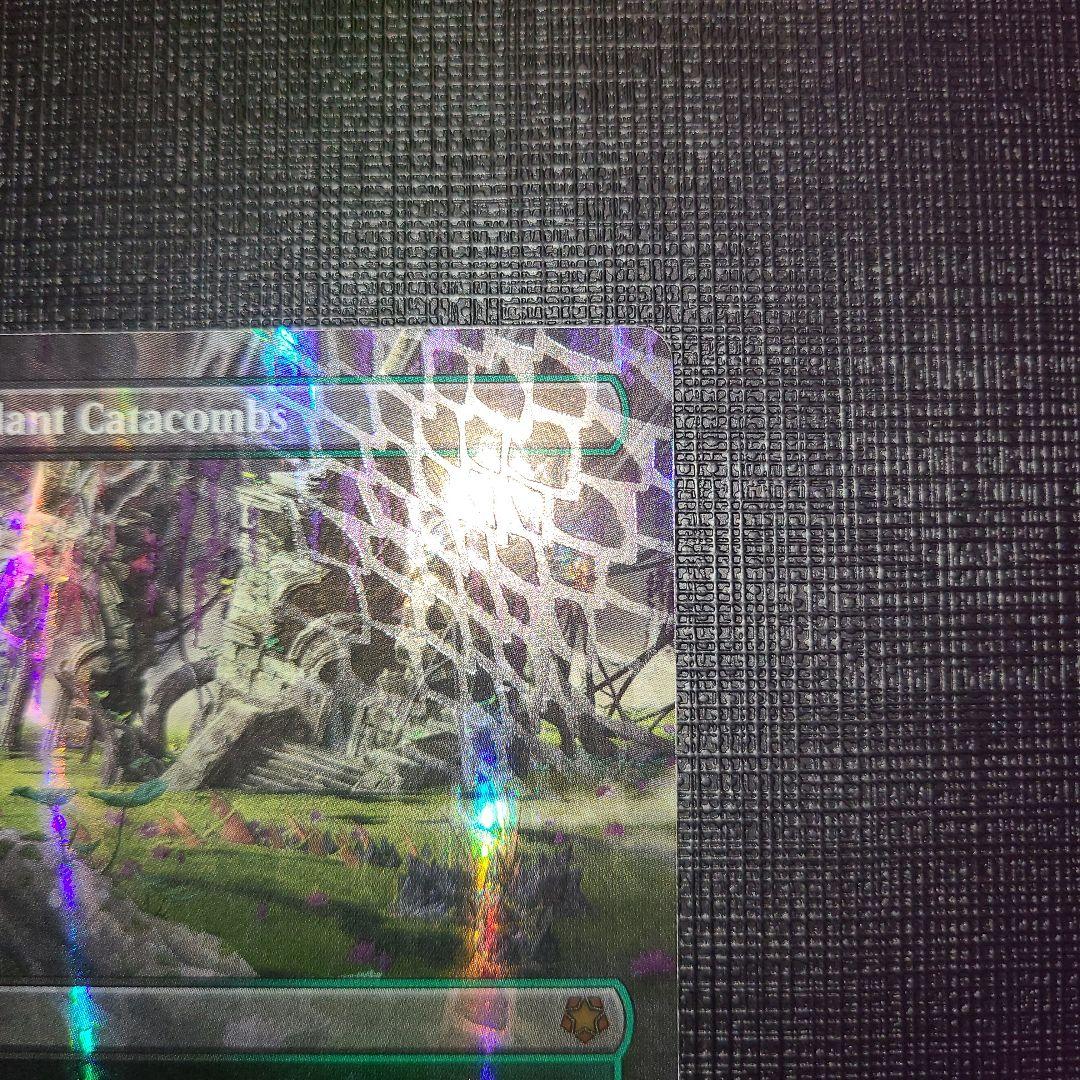 新緑の地下墓地 SPG ドラゴンスケイル foil　英語版