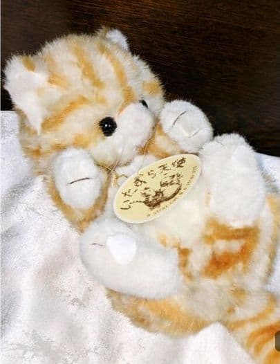希少 ファースト いたずら天使 猫 ねこ ぬいぐるみ 大