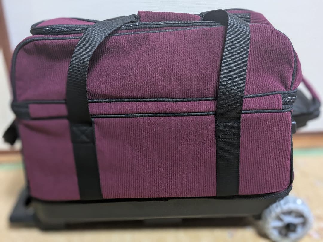 スヌーピー 2個入れ ボウリング用バッグ ワイン