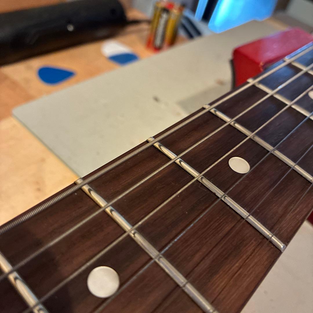 ピグノーズPGG200 サンバースト