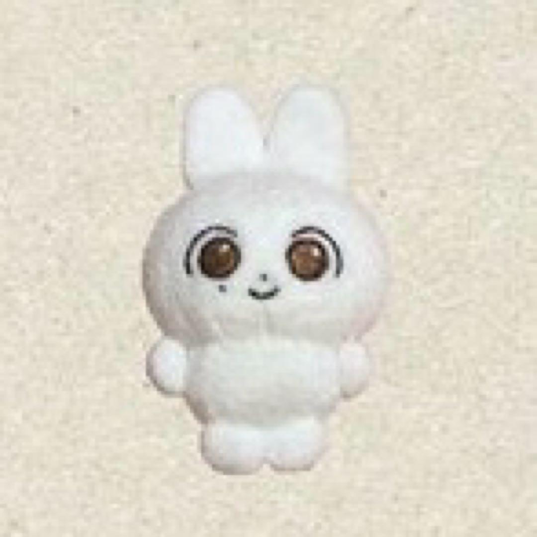 SEVENTEEN セブチ ジョンハン ぬいぐるみ マスター②