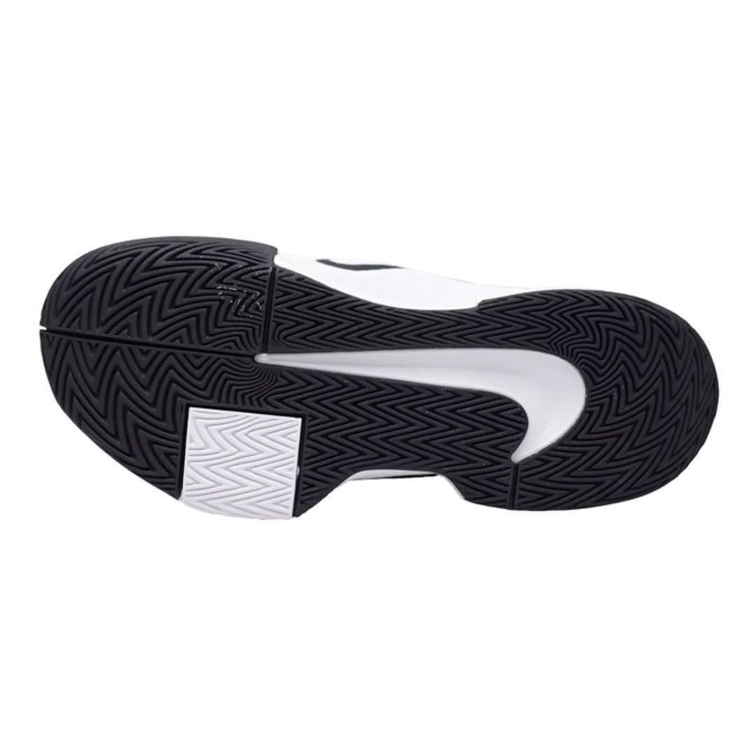 ナイキ NIKE テニスシューズ メンズ GP チャレンジ Pro FB3145