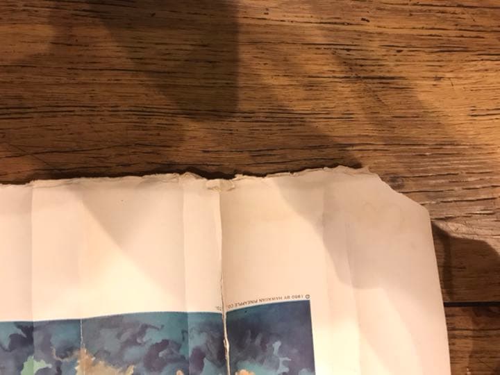 1950 ハワイ　ポスター　ドール　ヴィンテージ