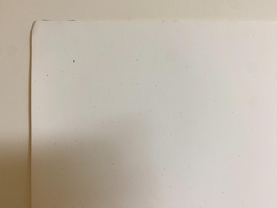 希少！おすすめ！仲條正義 2002年作『仲條のフジのヤマイ』シリーズポスター