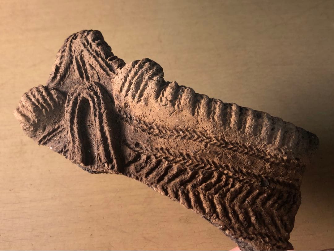 「縄文土器の欠片 No.534」です。