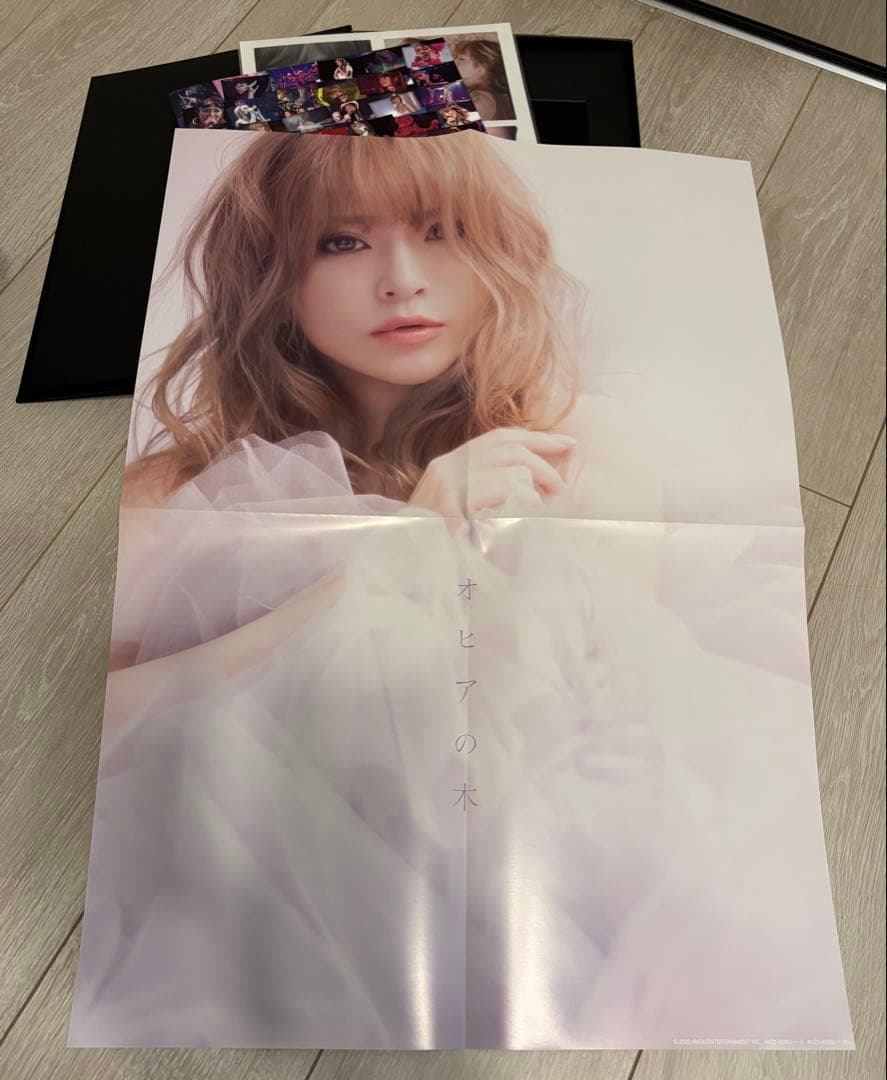 ミュージック ayumi hamasaki BEST LIVE BOX