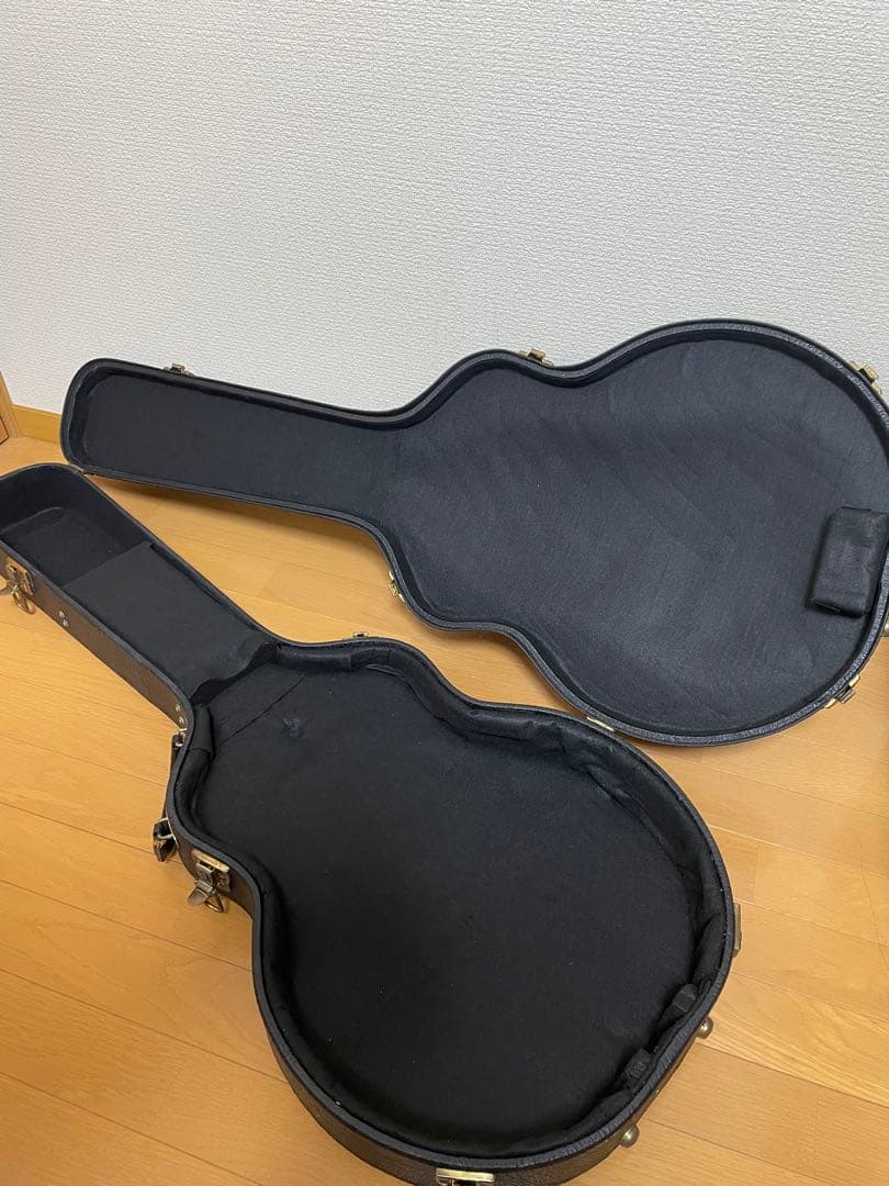 グラデーショングリーン エレキギター ハードケース付き