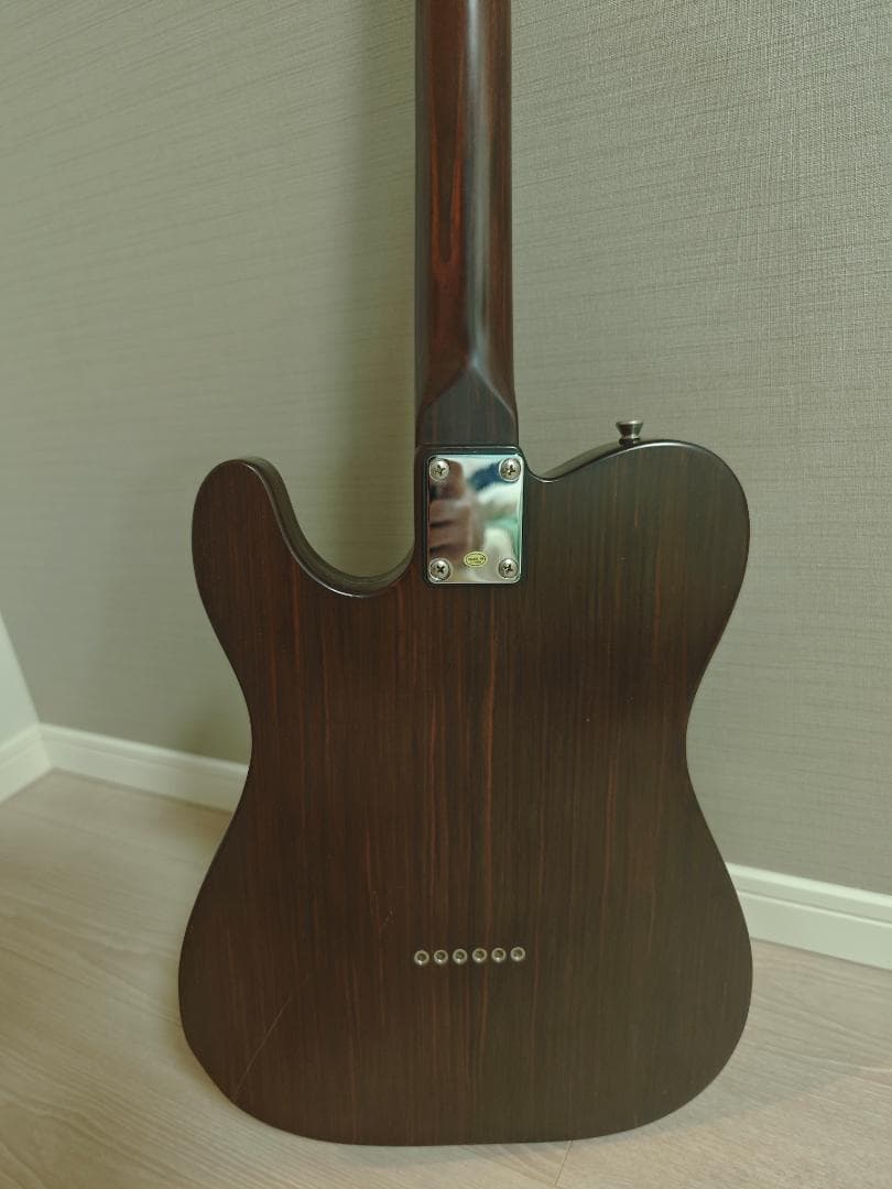 Bacchus Universe BTE-TW Tele 中古 ケース付き