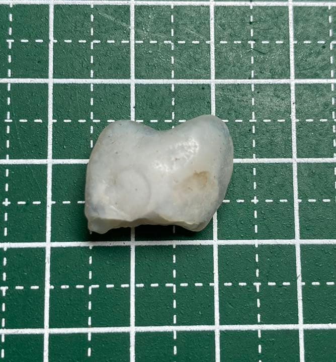 【珍品】京都府産　めのう　原石　歯　国産鉱物　標本　メノウ　瑪瑙