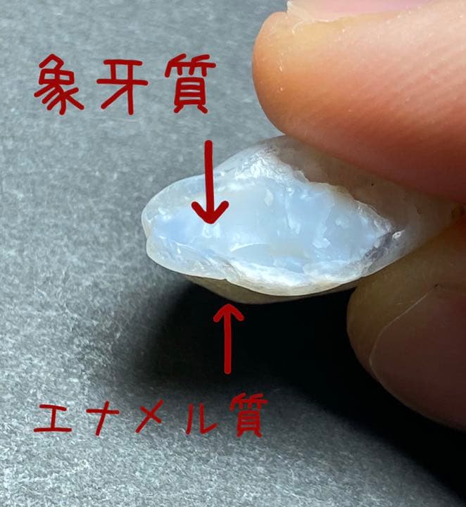 【珍品】京都府産　めのう　原石　歯　国産鉱物　標本　メノウ　瑪瑙