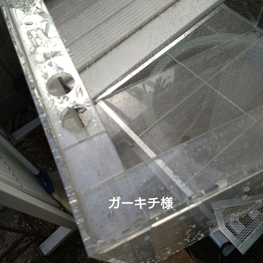 ガーキチ様限定☆アクリル水槽604545☆