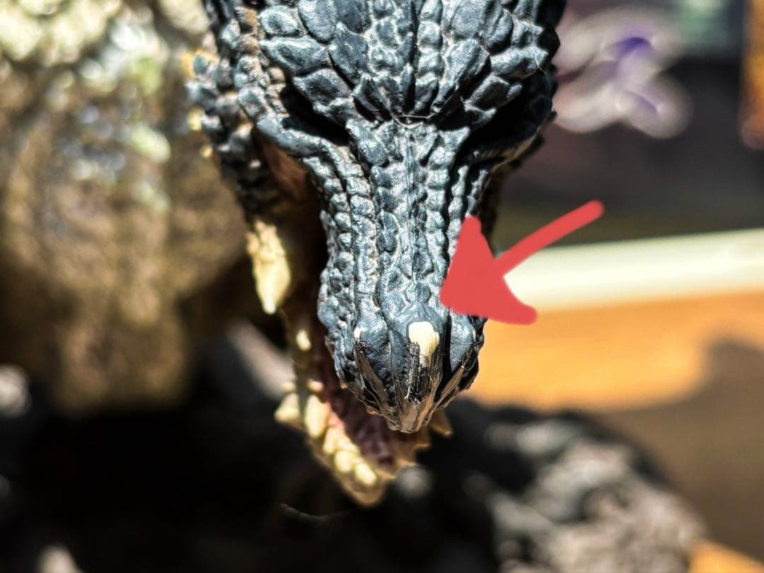 クリエイターズモデル 黒龍 ミラボレアス フィギュア