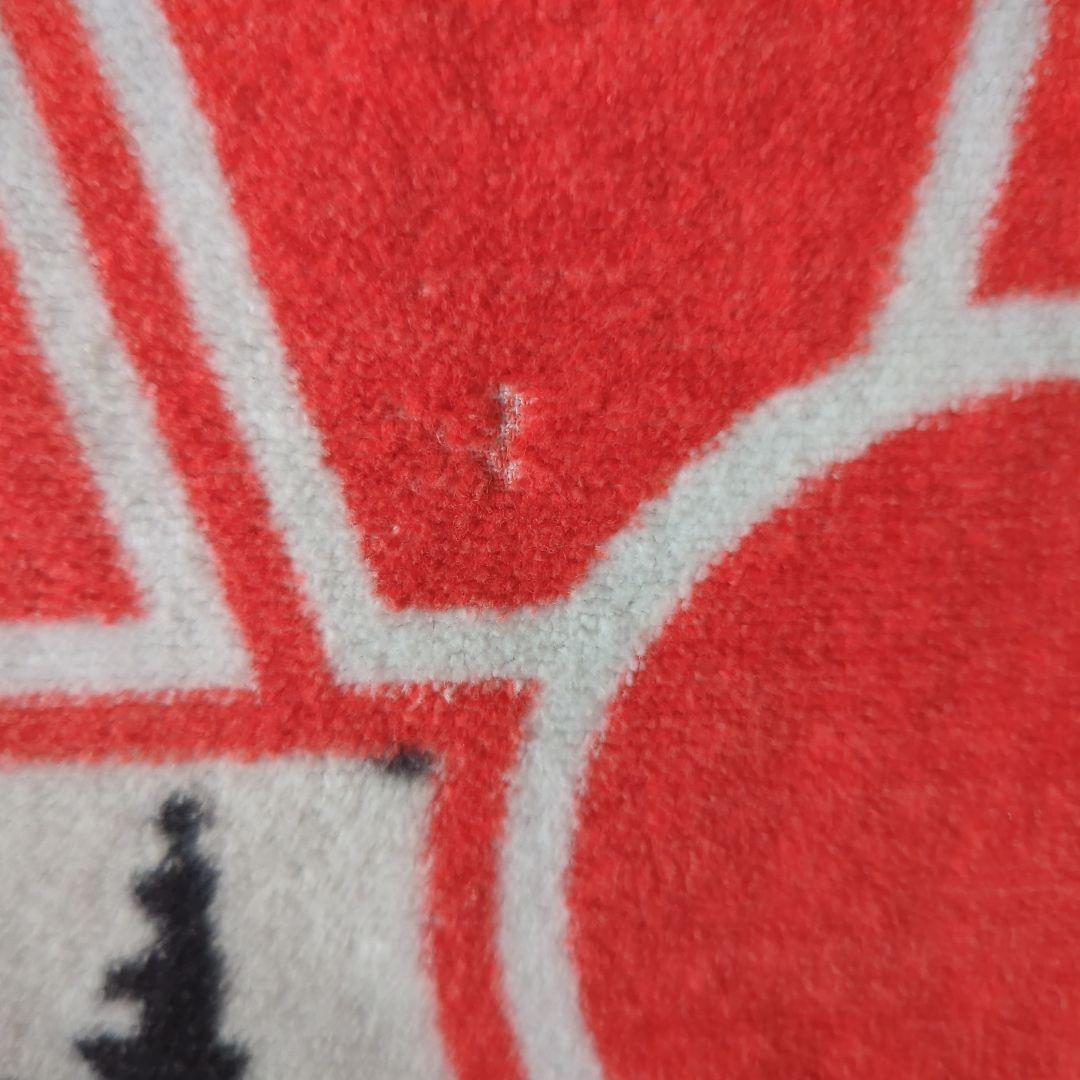 矢沢永吉さん　SBT　顔、ロゴ