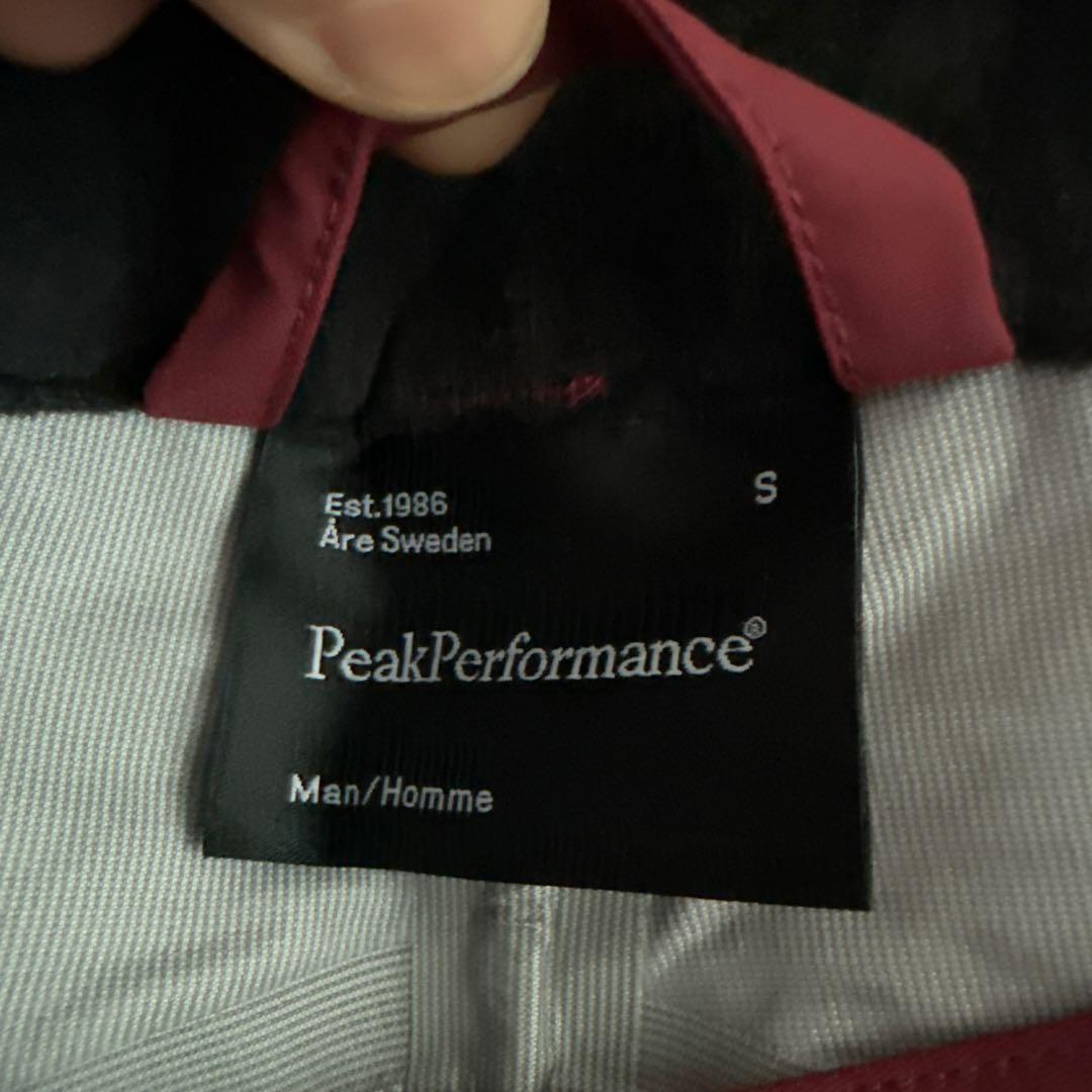 RECCO Peak Performance スキー 雪山 アウトドア パンツ