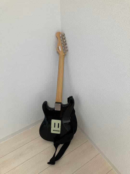 エレキギター　富士弦