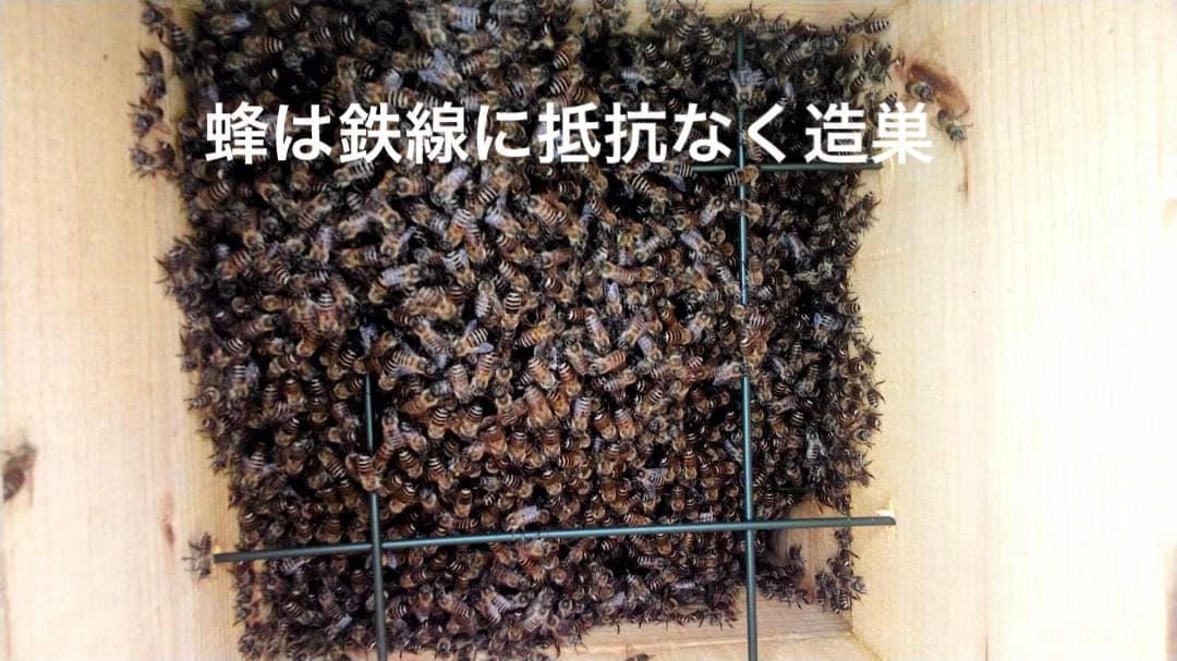 日本蜜蜂 重箱式巣箱4段 スライド底板 付巣門台座