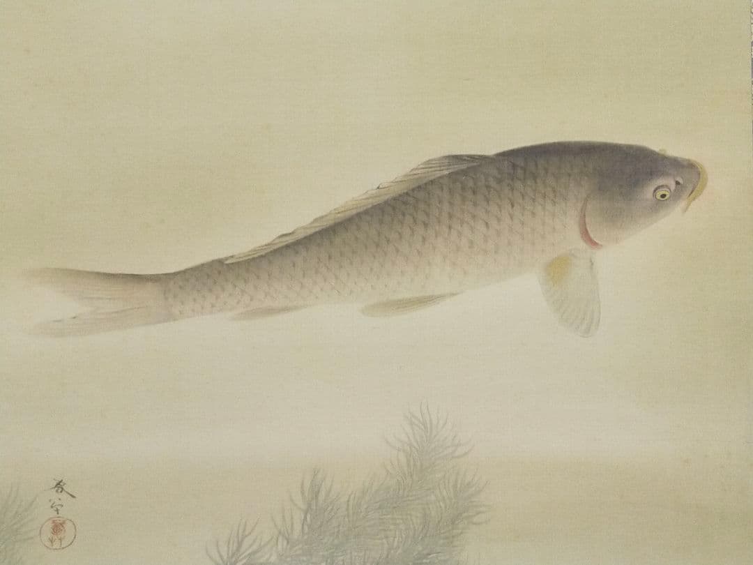 ♥【模写】　掛軸　菱田春草　遊鯉図　桐箱付き　掛け軸　骨董品