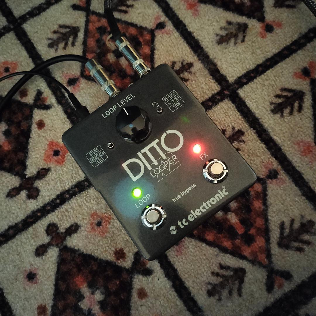 ギター TC ELECTRONIC Ditto X2 looper
