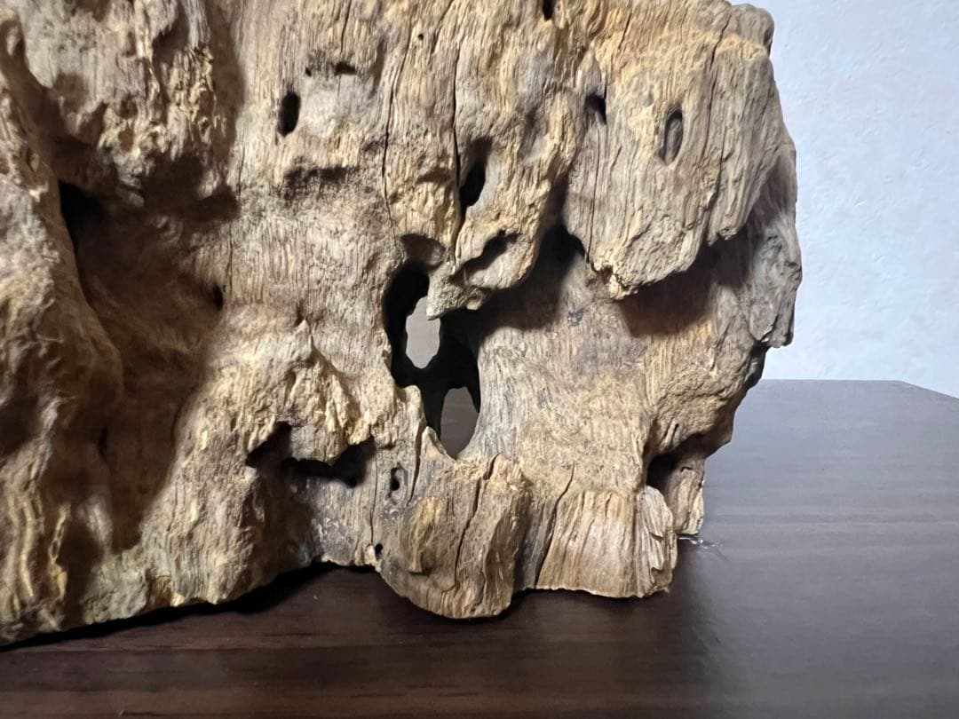 XM-350 流木　マシンガンウッド　アクアリウム　ブランチウッド