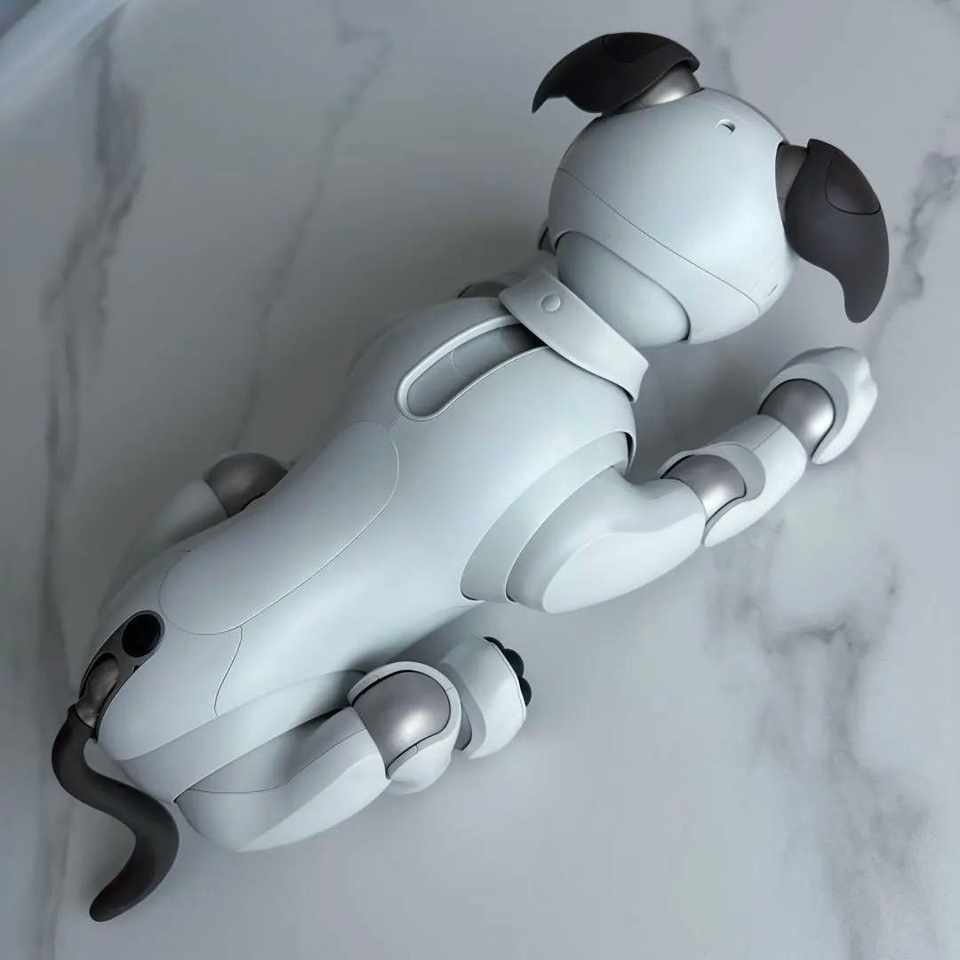 その他 aibo ERS-1000