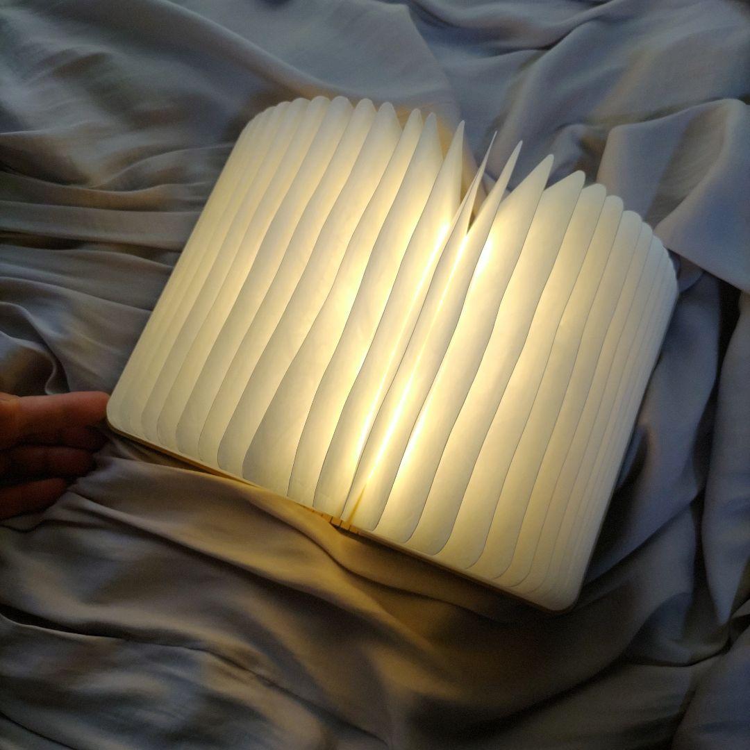 限定生産 熊猫先生 ハビービーにくちづけを LEDブック型ライト