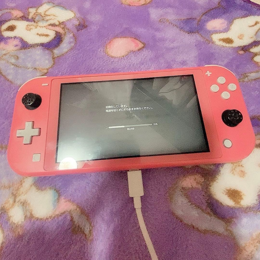 Nintendo SwitchLight ジャンク 本体のみ