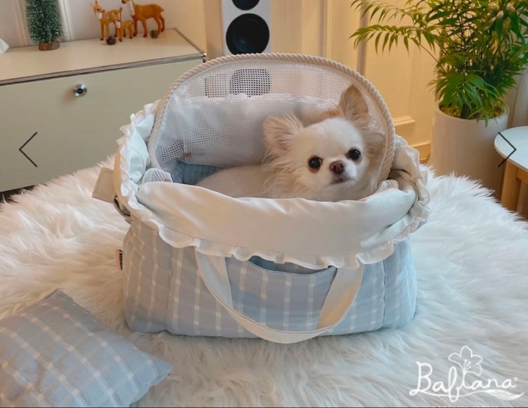 新品　バビアナ　インナーポーチ　BABIANA SORA M