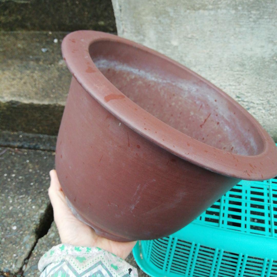 ミニ盆栽鉢、盆栽鉢、植木鉢、鉢、山野草鉢、盆栽