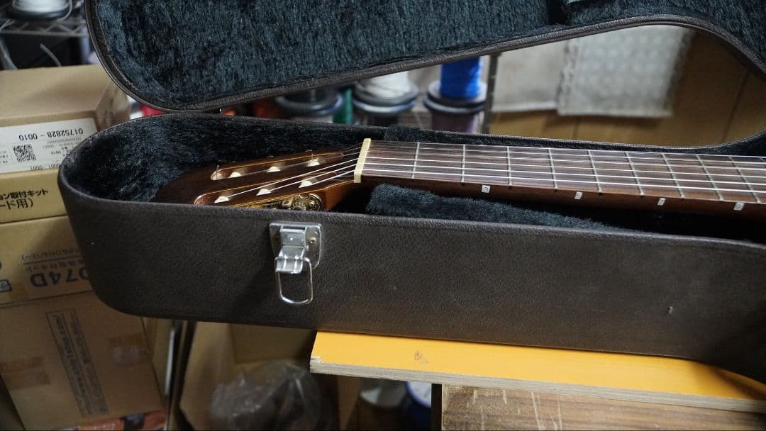 Takamineエレガットギター