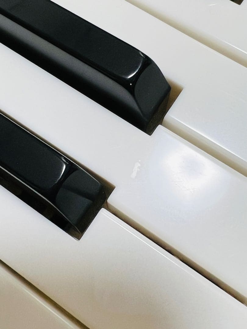 CASIO Casiotone LK-S515 キーボード