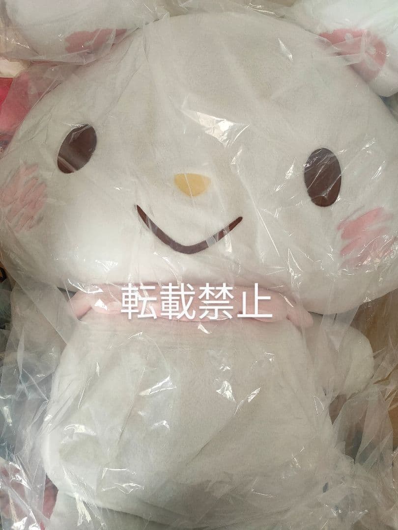 makuake ウィッシュミーメル