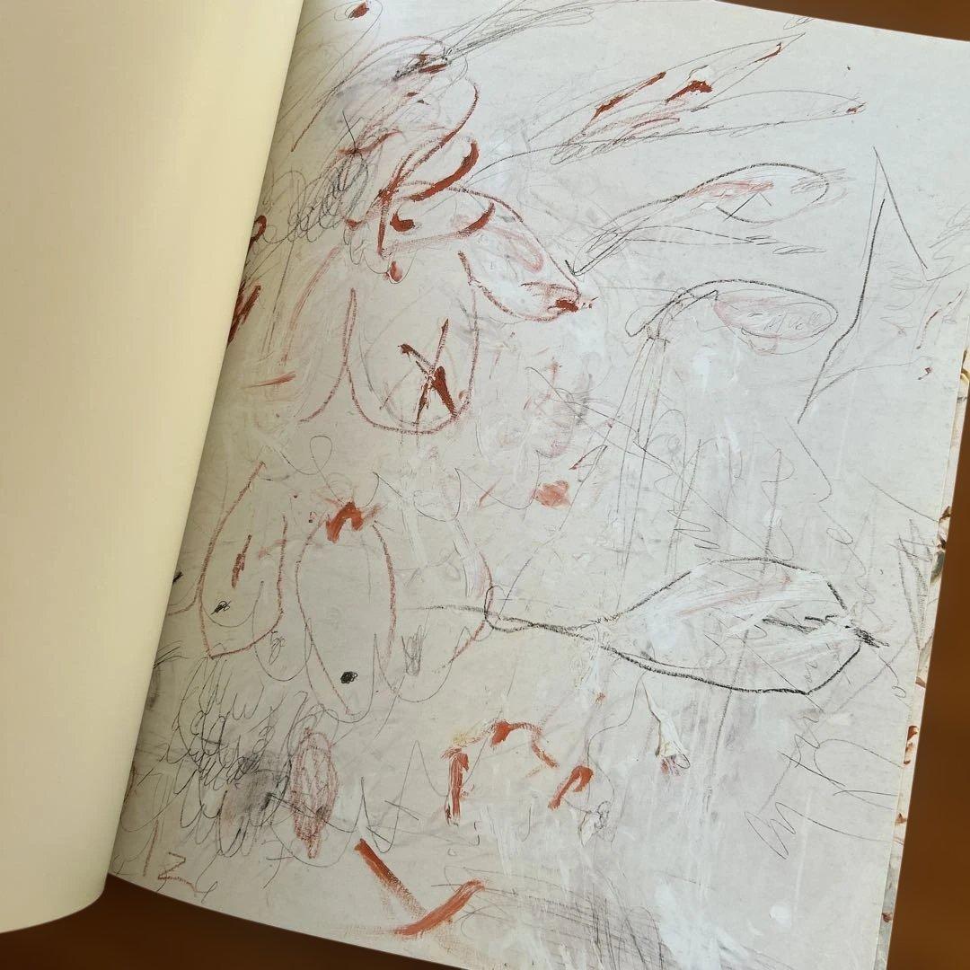 割引中/CY TWOMBLY アートブック RICHARD LEEMAN