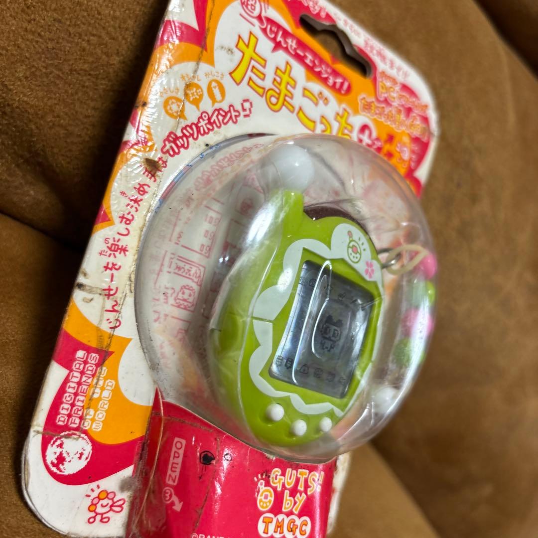 【新品未開封】超じんせーエンジョイ　たまごっちプラス　まっちゃフリル