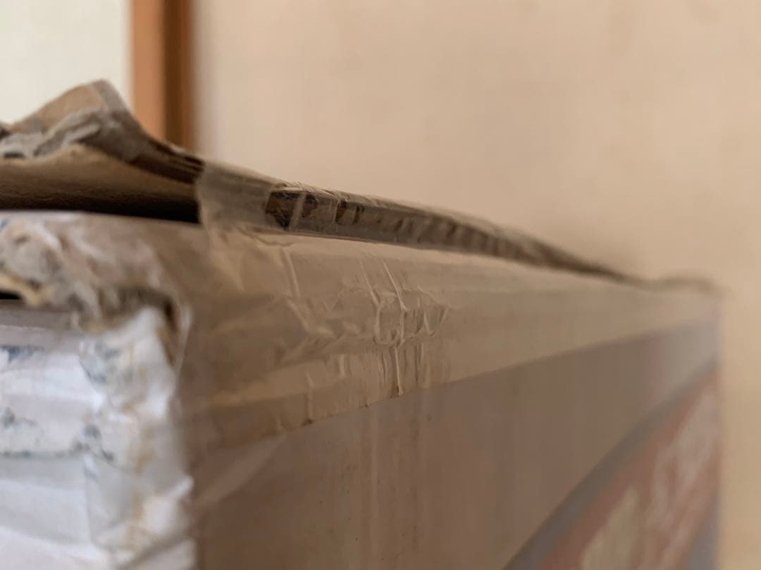 【廃番:未使用、未開封】ラジオフライヤー ペダルカー #88