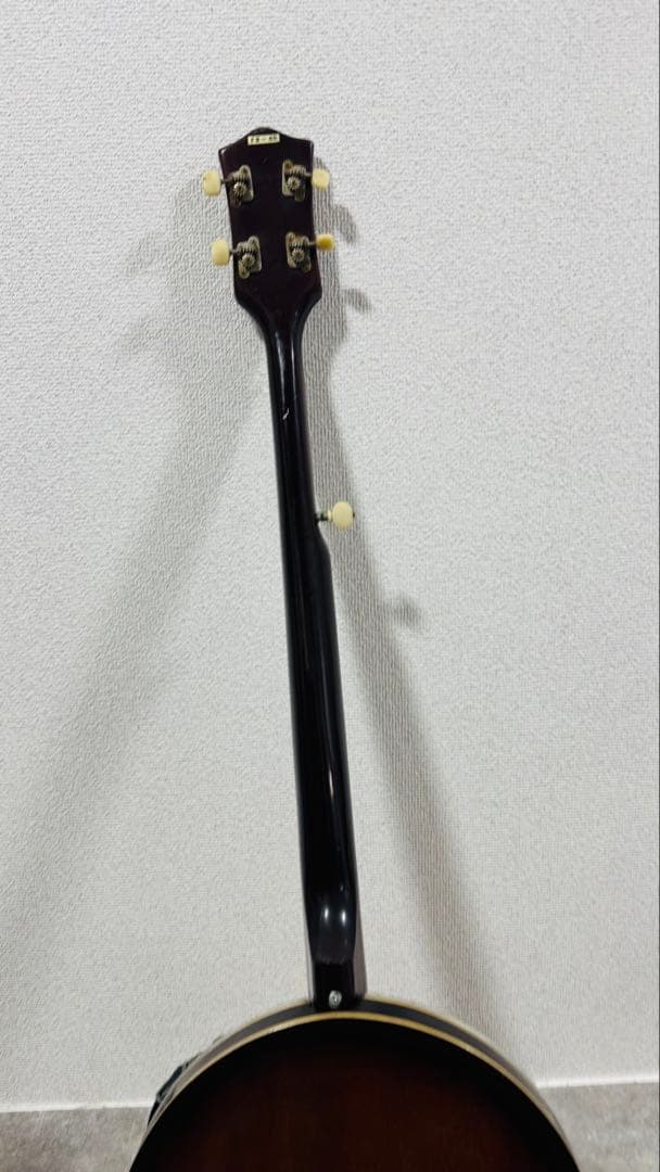 pirles ピアレス 5弦 バンジョー 弦楽器