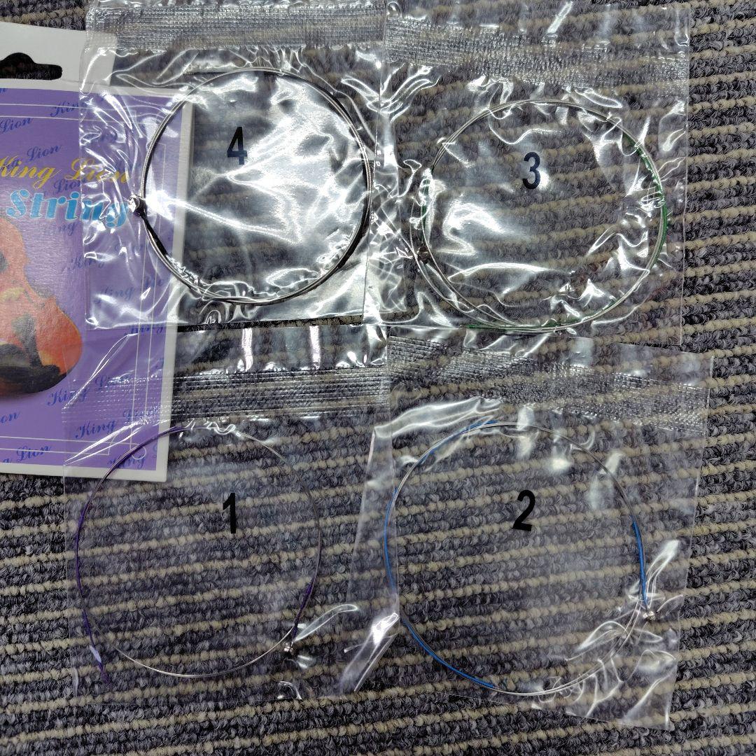 【美品】ハルシュタット エレキバイオリン