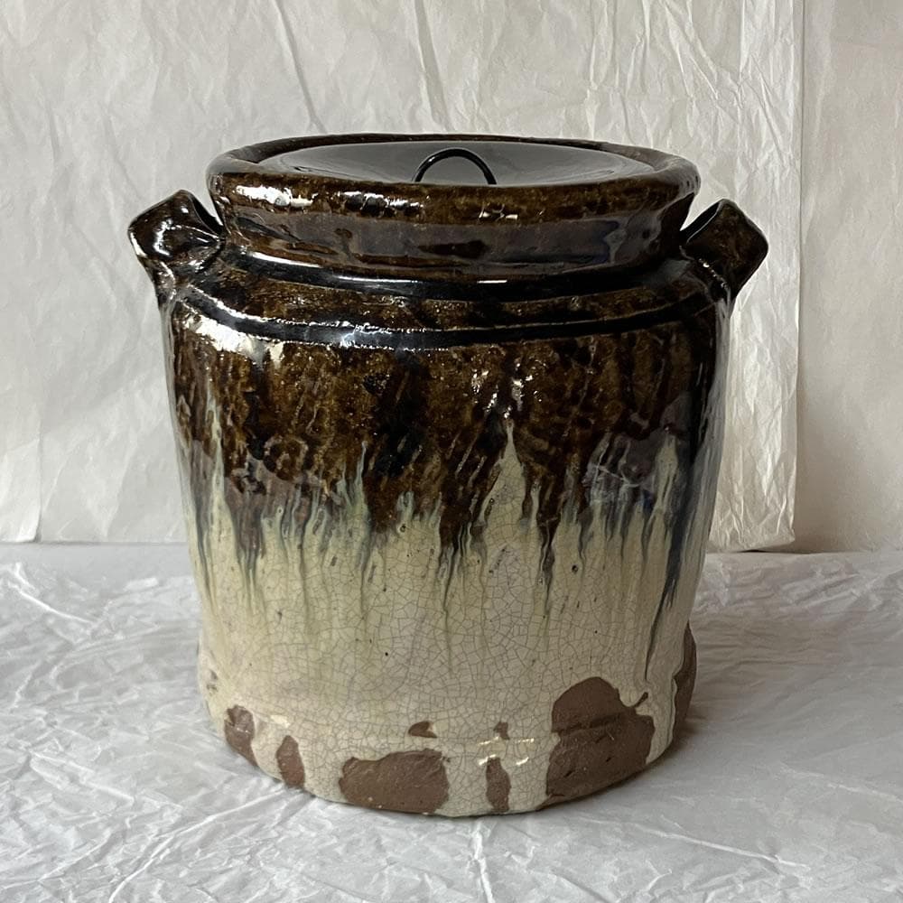 F1424 朝鮮唐津 耳付水指 木箱入り 水指 茶道具