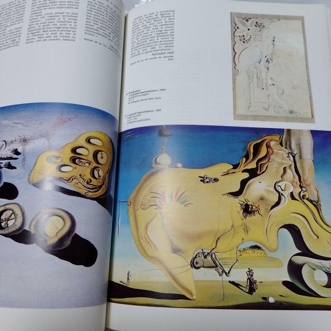 ダリ回顧展 図録 1980年 ポンピドーセンター 近代美術館 大型本 布装