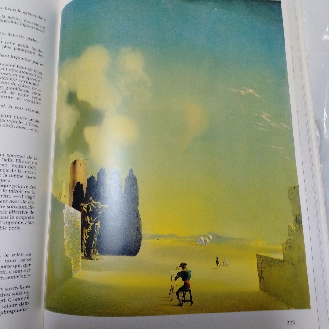 ダリ回顧展 図録 1980年 ポンピドーセンター 近代美術館 大型本 布装