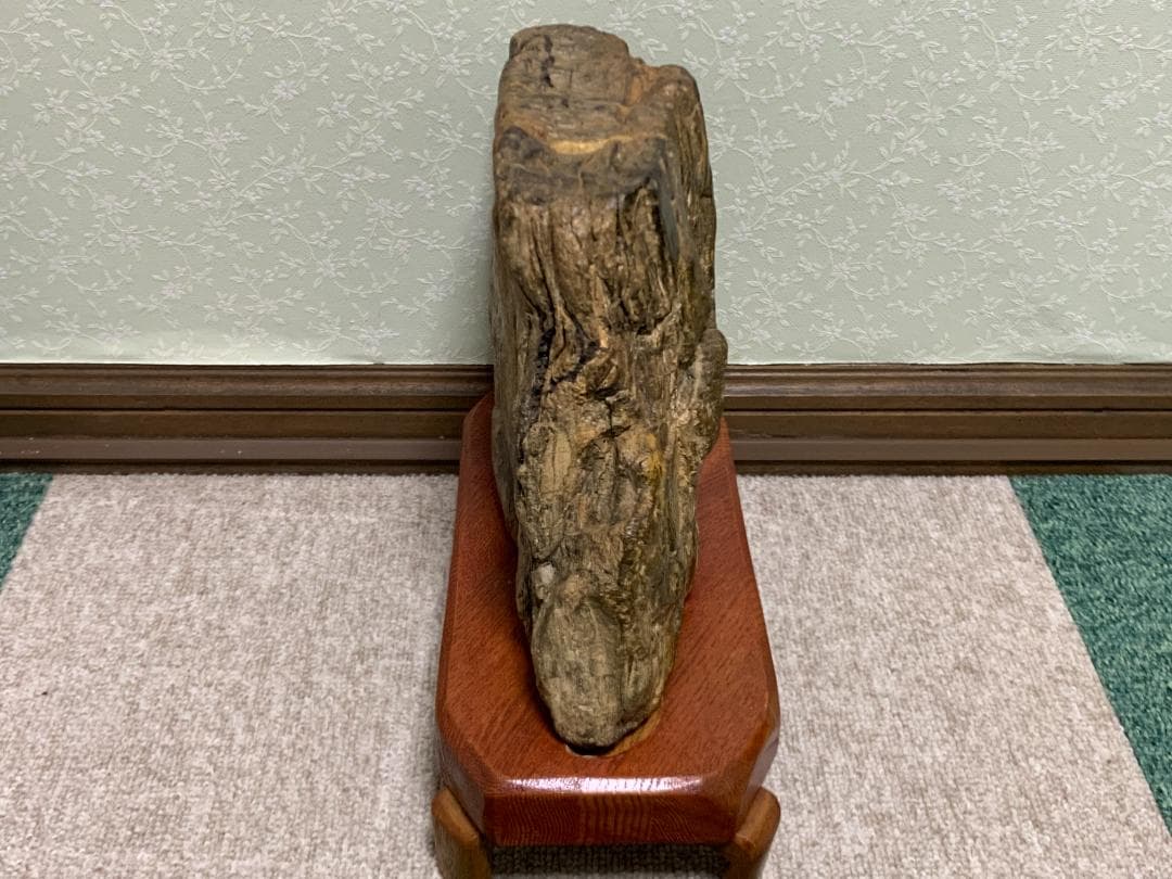 珪化木石　珪化木　H約18cm W約28cm D約9cm 約6,1kg　台付