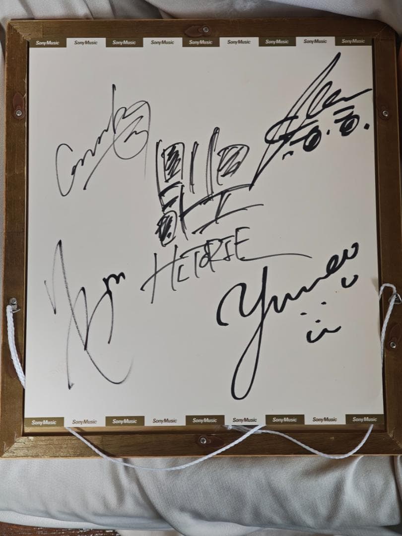 ヒトリエサイン入り色紙