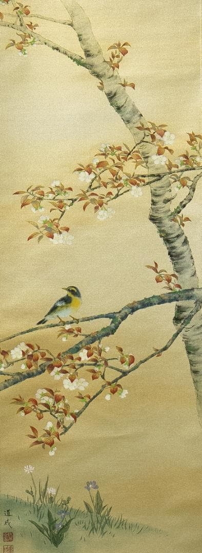 掛軸-1769　国井道成　山桜　共箱