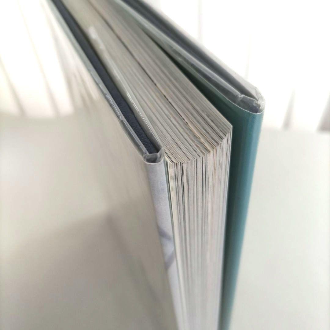 ARTISTS' STUDIOS: David Seidner/写真集 洋書