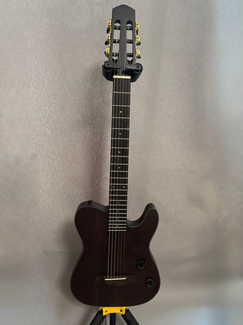 Nylon Electric Guitar　サイレントソリッドエレガット