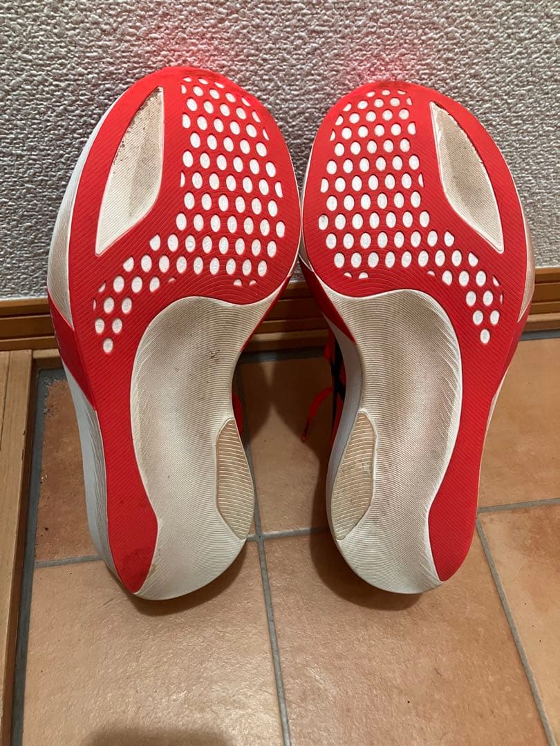 ASICS メタスピード　SPEED SKY TOKYO 26.5cm