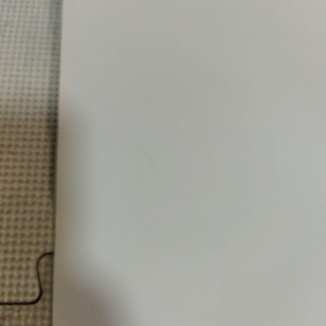 資生堂　ルア　ニートカラー　ポスター